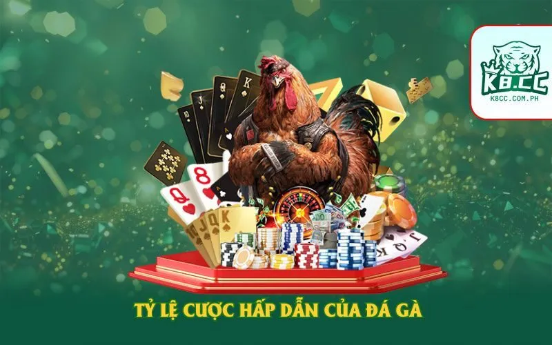 Tỷ lệ cược hấp dẫn của đá gà